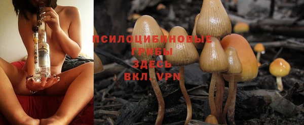 метадон Абаза