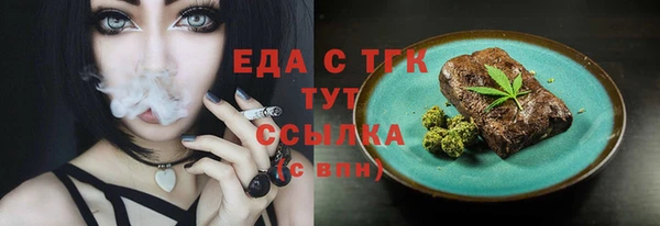 мдпв Краснослободск